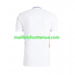 Maillot/Tenue Olympique Lyonnais Domicile 2024/2025